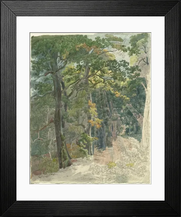 Framed Print : Rays of Sunlight Striking a Woodland Path, c. 1815. Creator: Friedrich Salathe Framed Print : Rays of Sunlight Striking a Woodland Path, c. 1815. Creator: Friedrich Salathe