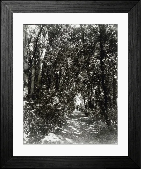 Framed Print : Hickory Hill, house of Henry Taylor Wickham, Ashland, Hanover County, Virginia, 1927. Creator: Frances Benjamin Johnston. Hickory Hill, house of Henry Taylor Wickham, Ashland, Hanover County, Virginia, 1927 Framed Print : Hickory Hill, house of Henry Taylor Wickham, Ashland, Hanover County, Virginia, 1927. Creator: Frances Benjamin Johnston. Hickory Hill, house of Henry Taylor Wickham, Ashland, Hanover County, Virginia, 1927