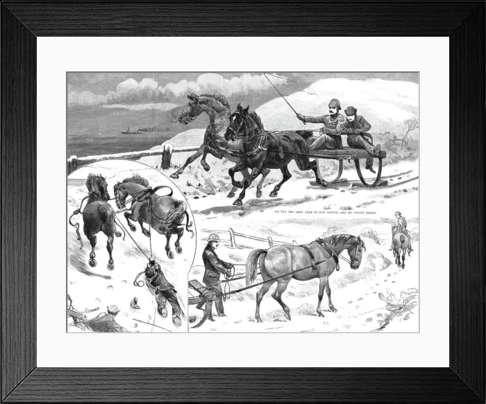 Framed Print : Sledging in the Isle of Bute, 1886. Creator: Unknown Framed Print : Sledging in the Isle of Bute, 1886. Creator: Unknown