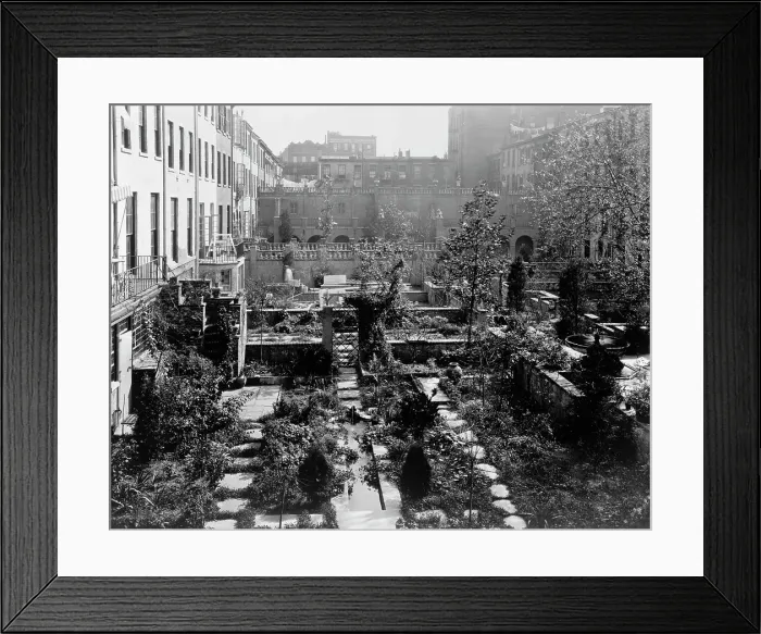 Framed Print : Backyard gardens in New York City, 1920. Creator: Frances Benjamin Johnston Framed Print : Backyard gardens in New York City, 1920. Creator: Frances Benjamin Johnston