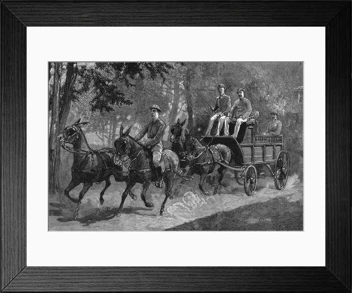 Framed Print : A Mule four-in-hand in Burma, 1886. Creator: Unknown Framed Print : A Mule four-in-hand in Burma, 1886. Creator: Unknown