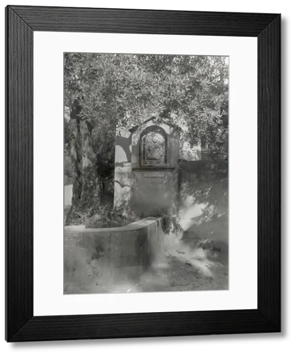 Framed Print : Villa Bel Riposo, San Domenico, Tuscany, Italy, 1925. Creator: Frances Benjamin Johnston Framed Print : Villa Bel Riposo, San Domenico, Tuscany, Italy, 1925. Creator: Frances Benjamin Johnston