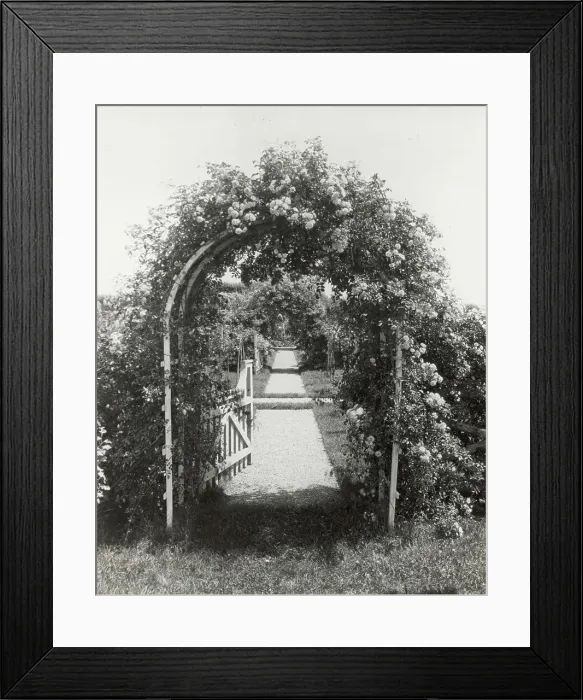 Framed Print : Unidentified garden, between 1910 and 1935. Creator: Frances Benjamin Johnston