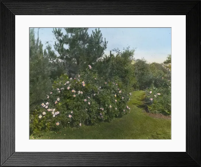 Framed Print : Beacon Hill House, Arthur Curtiss James house, Beacon Hill Road, Newport, Rhode Island, 1917. Creator: Frances Benjamin Johnston. Beacon Hill House, Arthur Curtiss James house, Beacon Hill Road, Newport, Rhode Island, 1917 Framed Print : Beacon Hill House, Arthur Curtiss James house, Beacon Hill Road, Newport, Rhode Island, 1917. Creator: Frances Benjamin Johnston. Beacon Hill House, Arthur Curtiss James house, Beacon Hill Road, Newport, Rhode Island, 1917