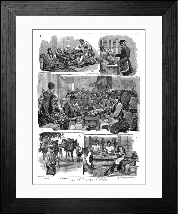 Framed Print : The Fig industry in Smyrna, 1886. Creator: Unknown Framed Print : The Fig industry in Smyrna, 1886. Creator: Unknown