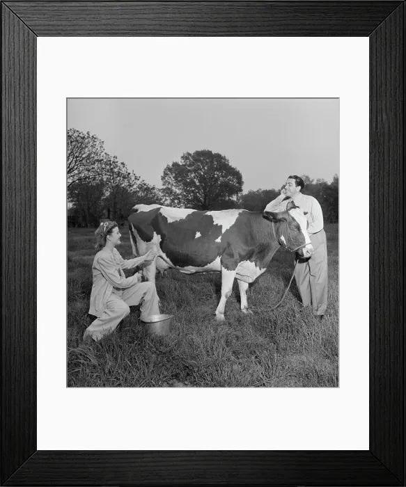 Framed Print : Portrait of Enric Madriguera and Patricia Gilmore on their farm, Connecticut, ca. June 1947. Creator: William Paul Gottlieb Framed Print : Portrait of Enric Madriguera and Patricia Gilmore on their farm, Connecticut, ca. June 1947. Creator: William Paul Gottlieb