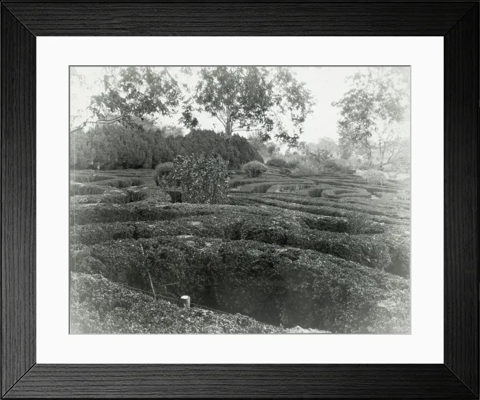Framed Print : Tuckahoe, Nehemiah Addison Baker house, Route 650, near Mankin, Goochland County, VA, 1936. Creator: Frances Benjamin Johnston. Tuckahoe, Nehemiah Addison Baker house, Route 650, near Mankin, Goochland County, VA, 1936 Framed Print : Tuckahoe, Nehemiah Addison Baker house, Route 650, near Mankin, Goochland County, VA, 1936. Creator: Frances Benjamin Johnston. Tuckahoe, Nehemiah Addison Baker house, Route 650, near Mankin, Goochland County, VA, 1936