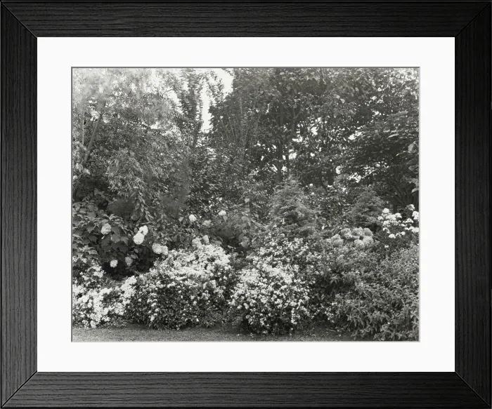 Framed Print : 2916423 Framed Print : 2916423
