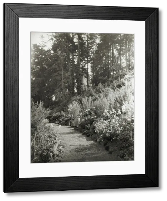 Framed Print : High Hatch, Thomas Kerr garden, SW Military Lane, Portland, Oregon, 1923. Creator: Frances Benjamin Johnston. High Hatch, Thomas Kerr garden, SW Military Lane, Portland, Oregon, 1923. Creator: Frances Benjamin Johnston Framed Print : High Hatch, Thomas Kerr garden, SW Military Lane, Portland, Oregon, 1923. Creator: Frances Benjamin Johnston. High Hatch, Thomas Kerr garden, SW Military Lane, Portland, Oregon, 1923. Creator: Frances Benjamin Johnston