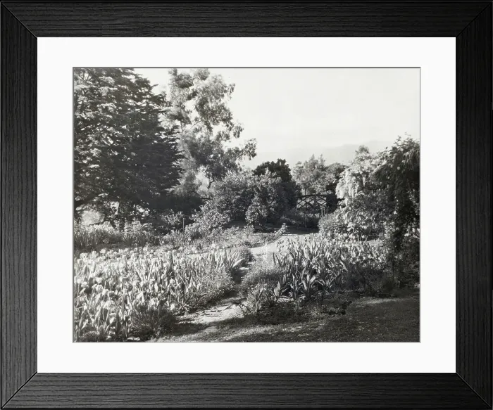 Framed Print : 2916448 Framed Print : 2916448