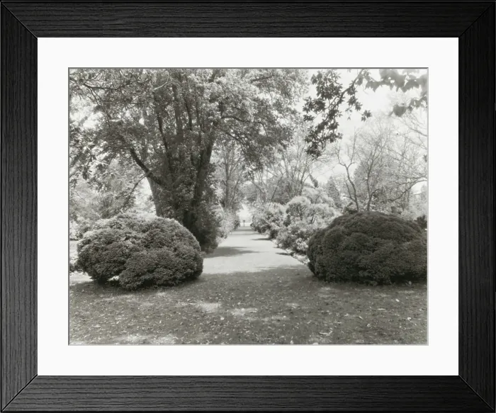 Framed Print : Brandon, Robert Williams Daniel house, Prince George County, Virginia, 1928. Creator: Frances Benjamin Johnston. Brandon, Robert Williams Daniel house, Prince George County, Virginia, 1928. Creator: Frances Benjamin Johnston Framed Print : Brandon, Robert Williams Daniel house, Prince George County, Virginia, 1928. Creator: Frances Benjamin Johnston. Brandon, Robert Williams Daniel house, Prince George County, Virginia, 1928. Creator: Frances Benjamin Johnston