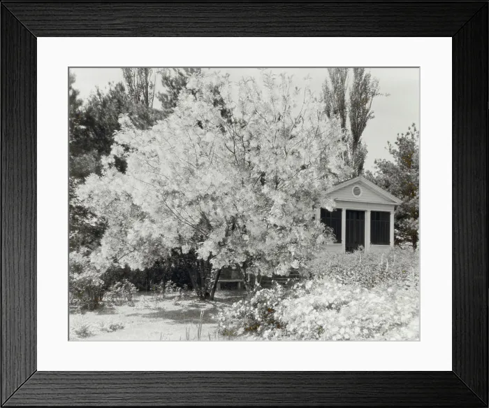 Framed Print : Belvoir, Fairfax Harrison house, Star Route 709, The Plains, Fauquier County, Virginia, 1928. Creator: Frances Benjamin Johnston. Belvoir, Fairfax Harrison house, Star Route 709, The Plains, Fauquier County, Virginia, 1928 Framed Print : Belvoir, Fairfax Harrison house, Star Route 709, The Plains, Fauquier County, Virginia, 1928. Creator: Frances Benjamin Johnston. Belvoir, Fairfax Harrison house, Star Route 709, The Plains, Fauquier County, Virginia, 1928