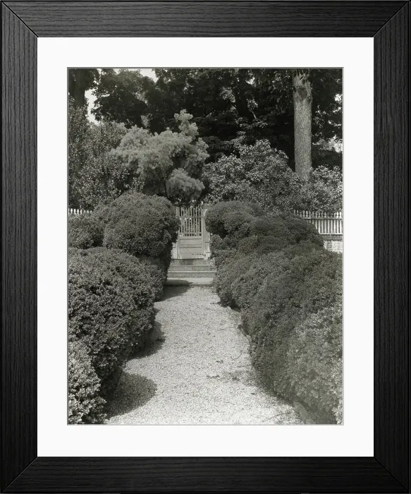 Framed Print : Mount Vernon, George Washington house, George Washington Parkway, Mount Vernon, Virginia, c1894. Creator: Frances Benjamin Johnston. Mount Vernon, George Washington house, George Washington Parkway, Mount Vernon, Virginia, c1894 Framed Print : Mount Vernon, George Washington house, George Washington Parkway, Mount Vernon, Virginia, c1894. Creator: Frances Benjamin Johnston. Mount Vernon, George Washington house, George Washington Parkway, Mount Vernon, Virginia, c1894