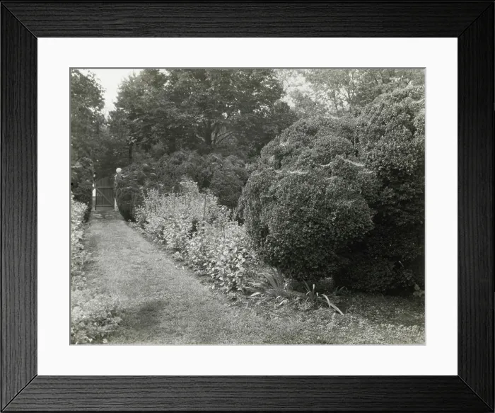 Framed Print : Redlands, Polly Coles and Sally Randolph Carter house, Carter's... Covesville, Virginia, 1926. Creator: Frances Benjamin Johnston. Redlands, Polly Coles and Sally Randolph Carter house, Carter's... Covesville, Virginia, 1926 Framed Print : Redlands, Polly Coles and Sally Randolph Carter house, Carter's... Covesville, Virginia, 1926. Creator: Frances Benjamin Johnston. Redlands, Polly Coles and Sally Randolph Carter house, Carter's... Covesville, Virginia, 1926