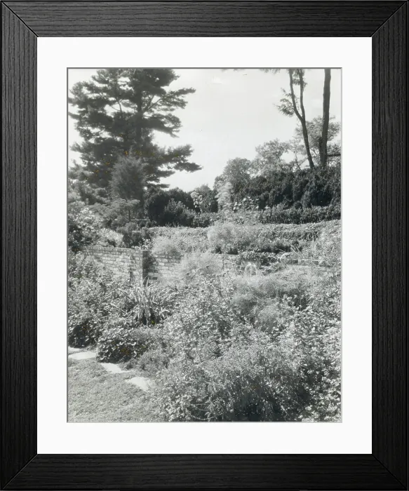 Framed Print : Montebello, Gordonsville, Orange County, Virginia, 1933. Creator: Frances Benjamin Johnston. Montebello, Gordonsville, Orange County, Virginia, 1933. Creator: Frances Benjamin Johnston Framed Print : Montebello, Gordonsville, Orange County, Virginia, 1933. Creator: Frances Benjamin Johnston. Montebello, Gordonsville, Orange County, Virginia, 1933. Creator: Frances Benjamin Johnston