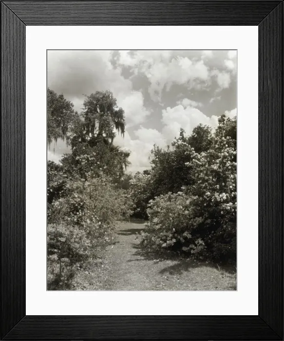 Framed Print : Magnolia Plantation, 3550 Ashley Road, Charleston, South Carolina, 1928. Creator: Frances Benjamin Johnston. Magnolia Plantation, 3550 Ashley Road, Charleston, South Carolina, 1928. Creator: Frances Benjamin Johnston Framed Print : Magnolia Plantation, 3550 Ashley Road, Charleston, South Carolina, 1928. Creator: Frances Benjamin Johnston. Magnolia Plantation, 3550 Ashley Road, Charleston, South Carolina, 1928. Creator: Frances Benjamin Johnston