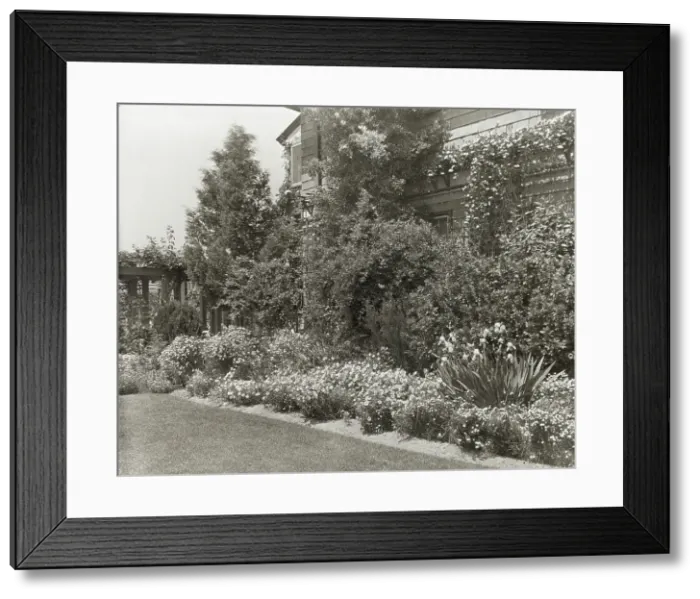 Framed Print : Alicon, Charles Hinman Graves house, 2310 Santa Barbara Street, Santa Barbara, California, 1923. Creator: Frances Benjamin Johnston. Alicon, Charles Hinman Graves house, 2310 Santa Barbara Street, Santa Barbara, California, 1923 Framed Print : Alicon, Charles Hinman Graves house, 2310 Santa Barbara Street, Santa Barbara, California, 1923. Creator: Frances Benjamin Johnston. Alicon, Charles Hinman Graves house, 2310 Santa Barbara Street, Santa Barbara, California, 1923