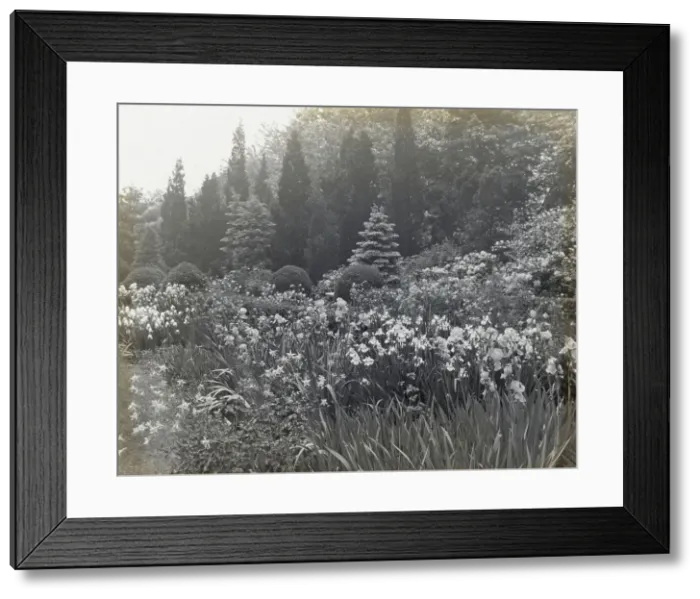 Framed Print : Killenworth, George Dupont Pratt house, Glen Cove, New York, c1918. Creator: Frances Benjamin Johnston. Killenworth, George Dupont Pratt house, Glen Cove, New York, c1918. Creator: Frances Benjamin Johnston Framed Print : Killenworth, George Dupont Pratt house, Glen Cove, New York, c1918. Creator: Frances Benjamin Johnston. Killenworth, George Dupont Pratt house, Glen Cove, New York, c1918. Creator: Frances Benjamin Johnston