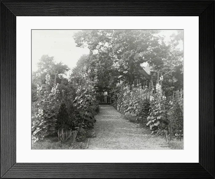 Framed Print : Tudor Place, Armistead Peter, Jr. house, 1644 31st Street, NW, Washington, D.C. 1926. Creator: Frances Benjamin Johnston. Tudor Place, Armistead Peter, Jr. house, 1644 31st Street, NW, Washington, D.C. 1926 Framed Print : Tudor Place, Armistead Peter, Jr. house, 1644 31st Street, NW, Washington, D.C. 1926. Creator: Frances Benjamin Johnston. Tudor Place, Armistead Peter, Jr. house, 1644 31st Street, NW, Washington, D.C. 1926