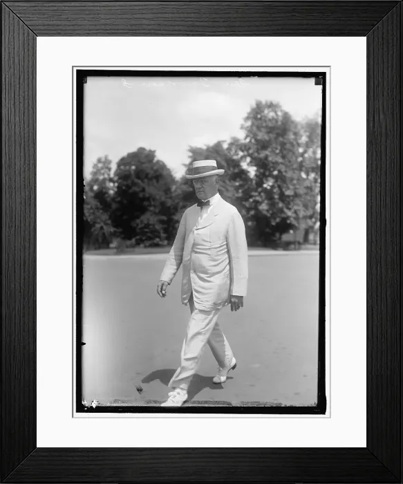 Framed Print : Senator Charles E. Townsend, between 1913 and 1918. Creator: Harris & Ewing. Senator Charles E. Townsend, between 1913 and 1918. Creator: Harris & Ewing