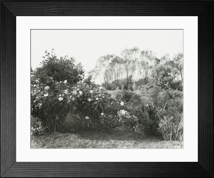 Framed Print : Glen Oaks, James Hobart Moore house, East Valley Road, Montecito, California, 1917. Creator: Frances Benjamin Johnston. Glen Oaks, James Hobart Moore house, East Valley Road, Montecito, California, 1917 Framed Print : Glen Oaks, James Hobart Moore house, East Valley Road, Montecito, California, 1917. Creator: Frances Benjamin Johnston. Glen Oaks, James Hobart Moore house, East Valley Road, Montecito, California, 1917