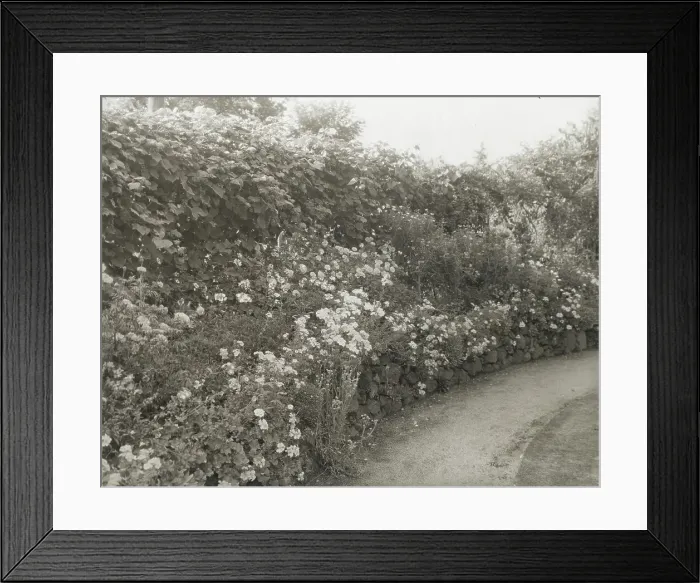 Framed Print : Unidentified house and garden, between 1910 and 1935. Creator: Frances Benjamin Johnston Framed Print : Unidentified house and garden, between 1910 and 1935. Creator: Frances Benjamin Johnston