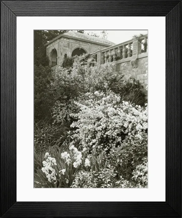 Framed Print : Killenworth, George Dupont Pratt house, Glen Cove, New York, c1918. Creator: Frances Benjamin Johnston. Killenworth, George Dupont Pratt house, Glen Cove, New York, c1918. Creator: Frances Benjamin Johnston Framed Print : Killenworth, George Dupont Pratt house, Glen Cove, New York, c1918. Creator: Frances Benjamin Johnston. Killenworth, George Dupont Pratt house, Glen Cove, New York, c1918. Creator: Frances Benjamin Johnston