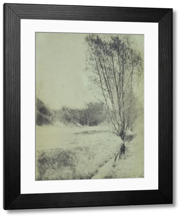 Framed Print : Willows, c1900. Creator: Frances S. Allen Framed Print : Willows, c1900. Creator: Frances S. Allen