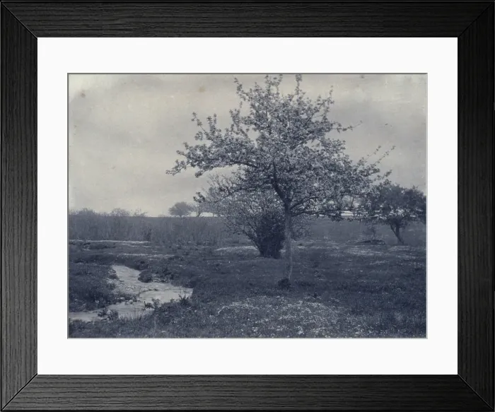 Framed Print : In May, c1900. Creator: Frances S. Allen Framed Print : In May, c1900. Creator: Frances S. Allen
