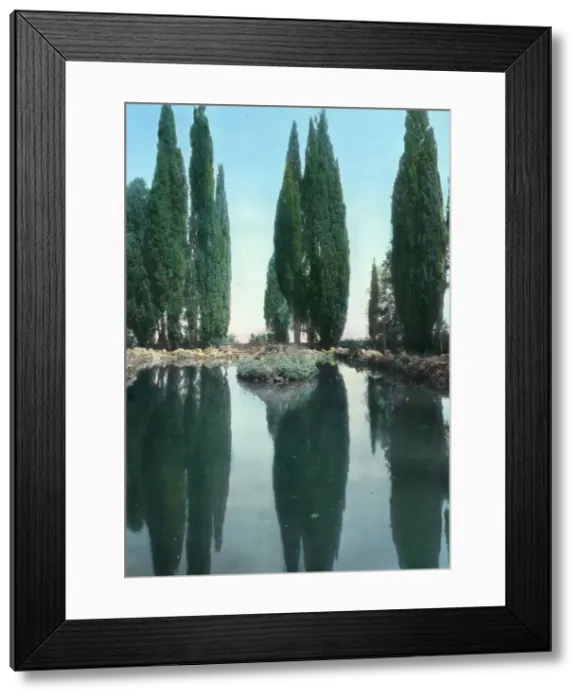 Framed Print : Villa Falconieri, Frascati, Lazio, Italy, 1925. Creator: Frances Benjamin Johnston Framed Print : Villa Falconieri, Frascati, Lazio, Italy, 1925. Creator: Frances Benjamin Johnston