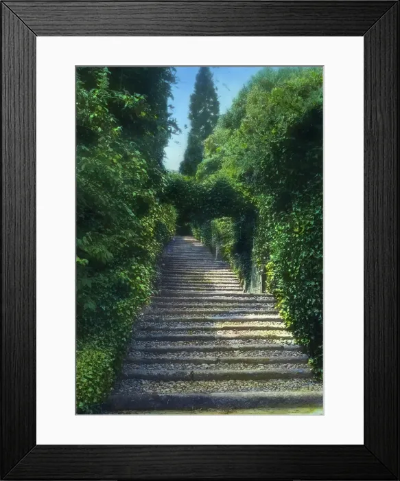 Framed Print : Botanical Garden, Isola Madre, Lake Maggiore, Piedmont, Italy, 1925. Creator: Frances Benjamin Johnston Framed Print : Botanical Garden, Isola Madre, Lake Maggiore, Piedmont, Italy, 1925. Creator: Frances Benjamin Johnston