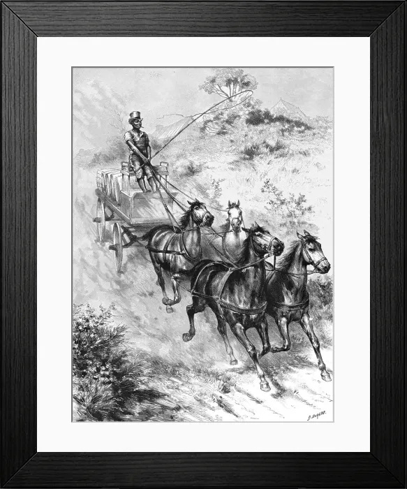Framed Print : Monarch of all he surveys - A Donkey Driver at Durban, 1890. Creator: G Durand. Monarch of all he surveys - A Donkey Driver at Durban, 1890. Creator: G Durand Framed Print : Monarch of all he surveys - A Donkey Driver at Durban, 1890. Creator: G Durand. Monarch of all he surveys - A Donkey Driver at Durban, 1890. Creator: G Durand