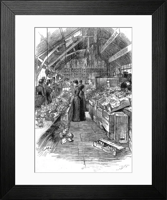Framed Print : The Colonial and Indian Exhibition; The Australian fruit stalls in the Colonial Market, 1886. Creator: Unknown Framed Print : The Colonial and Indian Exhibition; The Australian fruit stalls in the Colonial Market, 1886. Creator: Unknown