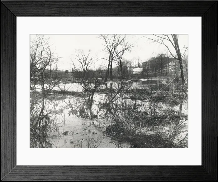 Framed Print : Before at Wakefield, New York City, through driveway was built, c1907. Creator: Frances Benjamin Johnston Framed Print : Before at Wakefield, New York City, through driveway was built, c1907. Creator: Frances Benjamin Johnston