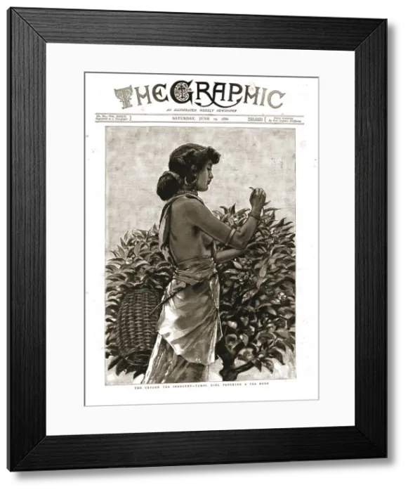 Framed Print : The Graphic, Front Cover June 19th. 1886, 1886. Creator: Unknown Framed Print : The Graphic, Front Cover June 19th. 1886, 1886. Creator: Unknown