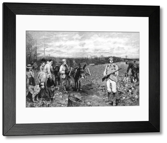 Framed Print : The Young Squire after John R. Reid, exhibited at the Royal Academy, 1890. Creator: Unknown. The Young Squire after John R. Reid, exhibited at the Royal Academy, 1890. Creator: Unknown Framed Print : The Young Squire after John R. Reid, exhibited at the Royal Academy, 1890. Creator: Unknown. The Young Squire after John R. Reid, exhibited at the Royal Academy, 1890. Creator: Unknown