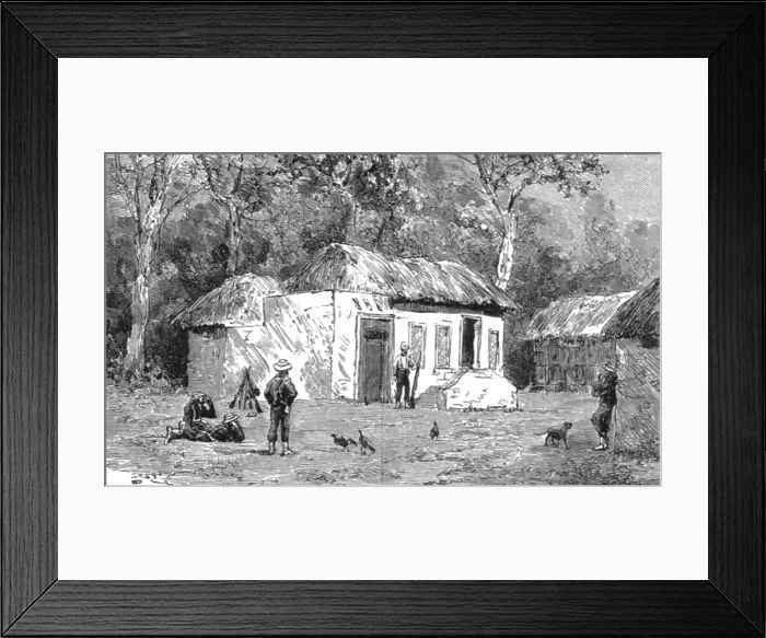 Framed Print : The English Expedition to Witu, East Africa, to Punish the Natives for the Murder of Nine German O Creator: Unknown Framed Print : The English Expedition to Witu, East Africa, to Punish the Natives for the Murder of Nine German O Creator: Unknown
