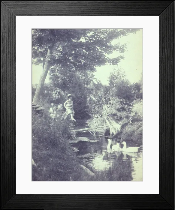 Framed Print : Rural scene with a young boy sitting on a tree stump watching ducks in the stream below, c1900. Creator: Emma Justine Farnsworth Framed Print : Rural scene with a young boy sitting on a tree stump watching ducks in the stream below, c1900. Creator: Emma Justine Farnsworth