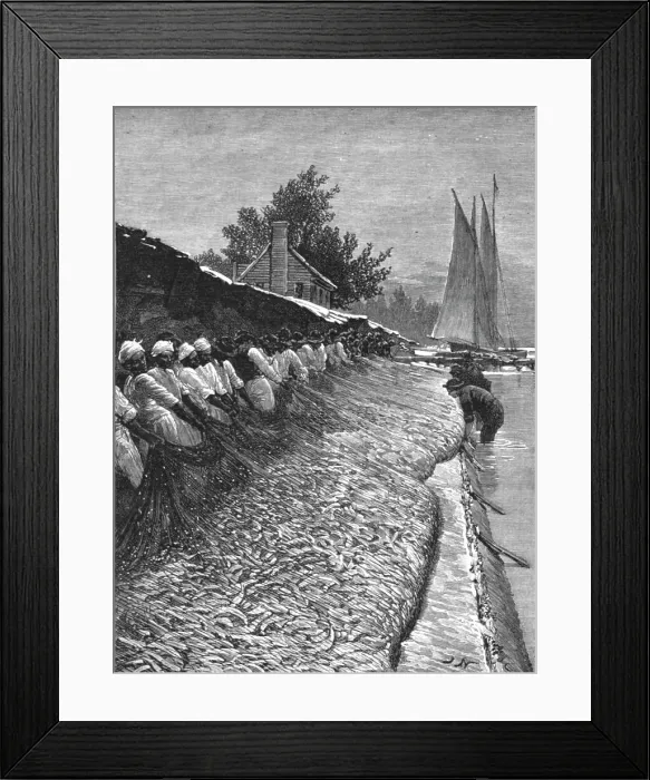 Framed Print : The American Fisheries Question; Shad Fisheries on the Potomac, 1890. Creator: H.W Elliot Framed Print : The American Fisheries Question; Shad Fisheries on the Potomac, 1890. Creator: H.W Elliot