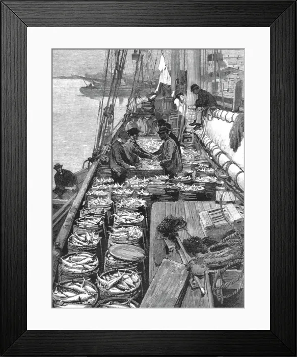 Framed Print : The American Fisheries Question; Dressing a Deck of Mackerel, 1890. Creator: Rev. W.S Green Framed Print : The American Fisheries Question; Dressing a Deck of Mackerel, 1890. Creator: Rev. W.S Green