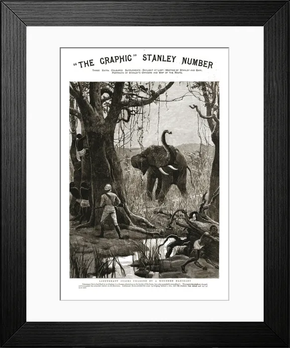 Framed Print : The Graphic Stanley Number; Lieutenant Stairs Charged by a Wounded Elephant, 1890. Creator: Unknown Framed Print : The Graphic Stanley Number; Lieutenant Stairs Charged by a Wounded Elephant, 1890. Creator: Unknown