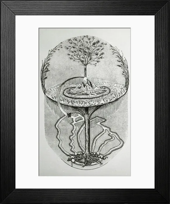 Framed Print : Reproduction of print showing Cosmic ash tree, between 1915 and 1925. Creator: Frances Benjamin Johnston Framed Print : Reproduction of print showing Cosmic ash tree, between 1915 and 1925. Creator: Frances Benjamin Johnston