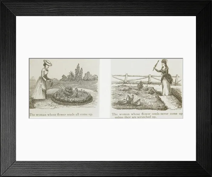 Framed Print : Reproduction of illustrations showing women and flower seeds, between 1915 and 1925. Creator: Frances Benjamin Johnston Framed Print : Reproduction of illustrations showing women and flower seeds, between 1915 and 1925. Creator: Frances Benjamin Johnston