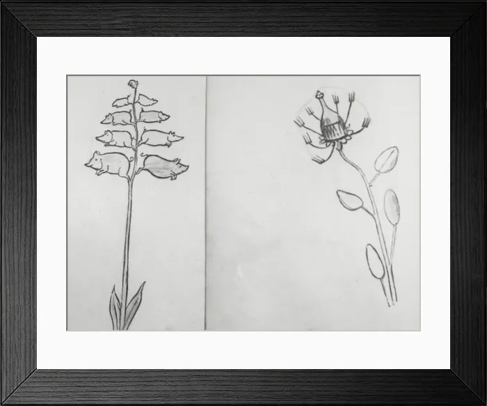 Framed Print : Reproduction of illustrations: Piggiwiggia Pyramadalis and Bottleforkia Spoonifolia, c1915-1925. Creator: Frances Benjamin Johnston. Reproduction of illustrations: Piggiwiggia Pyramadalis and Bottleforkia Spoonifolia