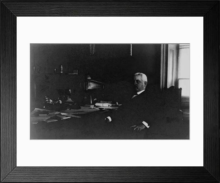 Framed Print : Governor Thompson(?), Treasury Department employee, half-length portrait... between 1884 & 1930 Creator: Frances Benjamin Johnston. Governor Thompson() Framed Print : Governor Thompson(?), Treasury Department employee, half-length portrait... between 1884 & 1930 Creator: Frances Benjamin Johnston. Governor Thompson()
