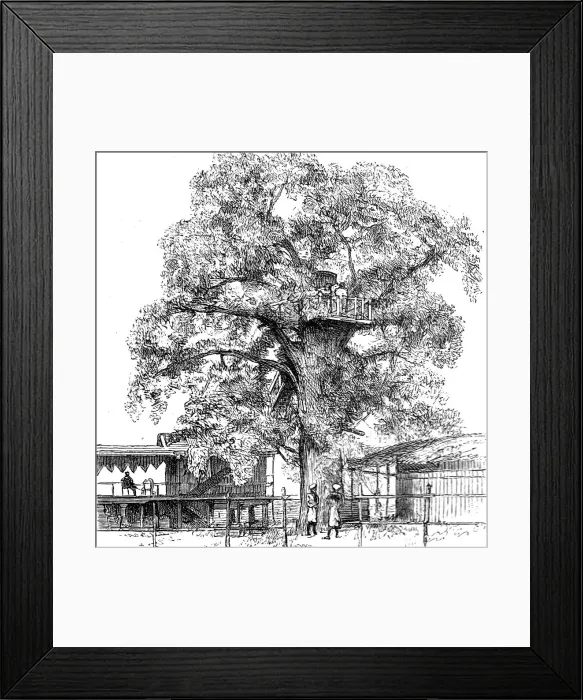 Framed Print : The Belgium Anti-Slavery Society on the Congo; The Italian Consul's Private Residence, with the Sl Creator: Unknown Framed Print : The Belgium Anti-Slavery Society on the Congo; The Italian Consul's Private Residence, with the Sl Creator: Unknown