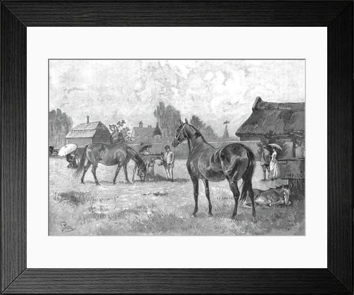 Framed Print : The Racing Season- Notes at Newmarket; Young Thoroughbreds at home, 1890. Creator: Unknown Framed Print : The Racing Season- Notes at Newmarket; Young Thoroughbreds at home, 1890. Creator: Unknown