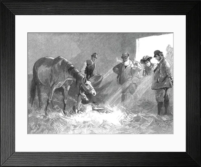 Framed Print : The Racing Season- Notes at Newmarket; Visitors to a Nursery, 1890. Creator: Unknown Framed Print : The Racing Season- Notes at Newmarket; Visitors to a Nursery, 1890. Creator: Unknown