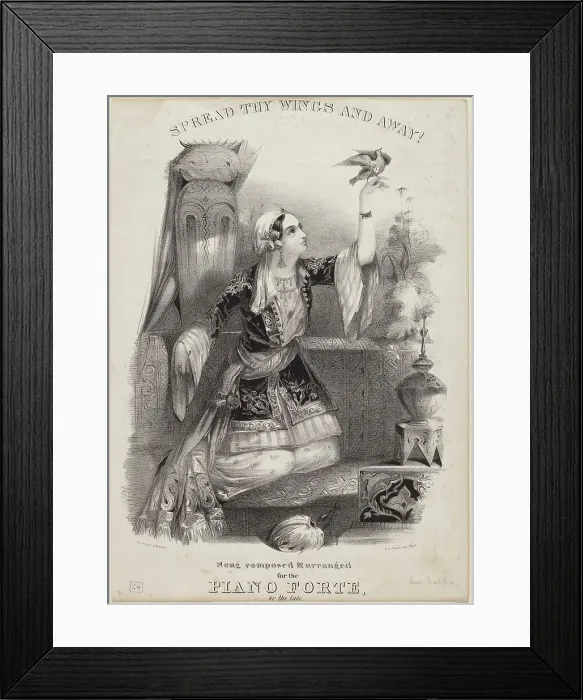 Framed Print : Spread Thy Wings and Away!. Creator: Albert Newsam Framed Print : Spread Thy Wings and Away!. Creator: Albert Newsam