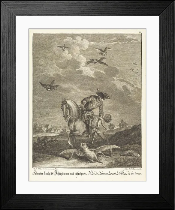 Framed Print : Falconeer Lifting an Owl from the Ground. Creator: Johann Elias Ridinger Framed Print : Falconeer Lifting an Owl from the Ground. Creator: Johann Elias Ridinger
